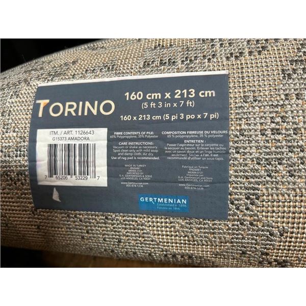 Torino 5ft 3in x 7ft Area Rug