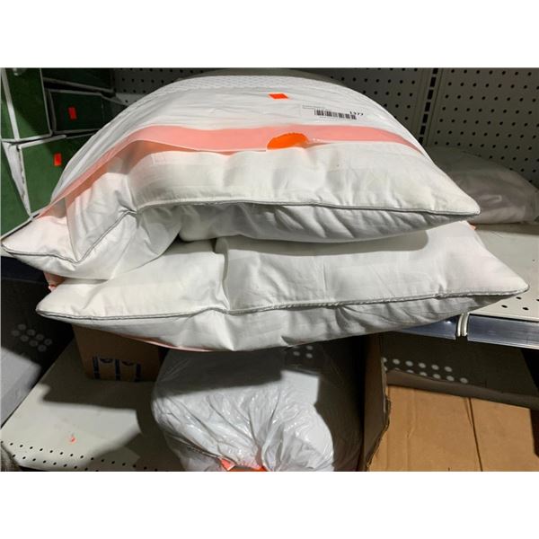 lot of 2 weatherproof pillows