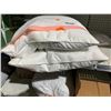 Image 1 : lot of 2 weatherproof pillows