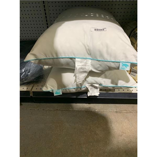Lot of 2 sealy pillows