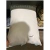 Image 2 : Lot of 2 sealy pillows