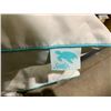 Image 3 : Lot of 2 sealy pillows