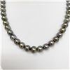 Image 3 : 8-10mm Tahitian Silver Lavender Near-Round Pearl Necklace with Gold Clasp