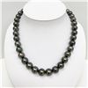 Image 2 : 11-12mm Tahitian Dark Green Round/Near-Round Pearl Necklace with Gold Clasp