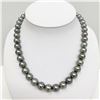 Image 2 : 9-12mm Tahitian Silvery Green Round Pearl Necklace with Gold Clasp