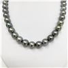 Image 3 : 9-12mm Tahitian Silvery Green Round Pearl Necklace with Gold Clasp