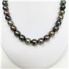 Image 3 : 10-11mm Tahitian Multicolor Oval Pearl Necklace with Gold Clasp