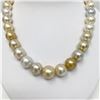 Image 3 : 13-15mm South Sea White and Golden Near-Round Necklace with Gold Clasp
