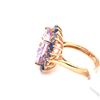 Image 2 : 9.99ct Amethyst 18K Yellow Gold Ring