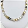 Image 3 : 8-10mm South Sea White and Gold and Tahitian Near-Round Pearl Necklace with Gold Clasp