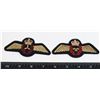 Image 1 : #491 ROYAL CANADIAN AIR FORCE PADDED WING LOT