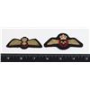 Image 1 : #492 ROYAL CANADIAN AIR FORCE PADDED WING SMALL