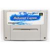Image 1 : BAHAMUT LAGOON RPG SUPER FAMICOM GAME WORKS!