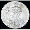 Image 1 : 2009 American Silver Eagle