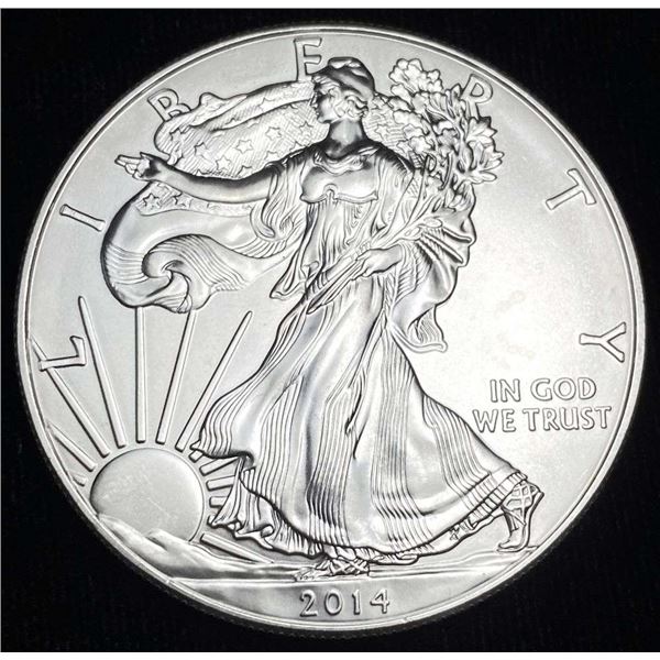 2014 American Silver Eagle