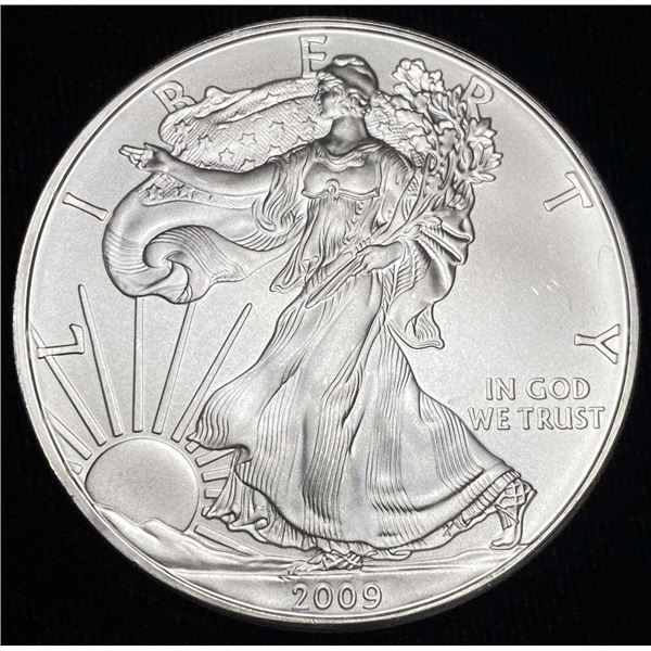 2009 American Silver Eagle