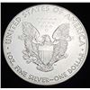 Image 2 : 2016 American Silver Eagle