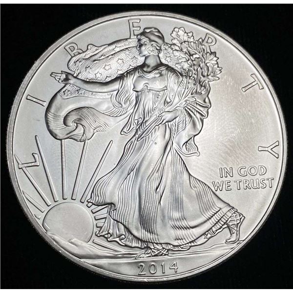 2014 American Silver Eagle