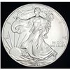 Image 1 : 2011 American Silver Eagle