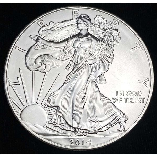 2014 American Silver Eagle