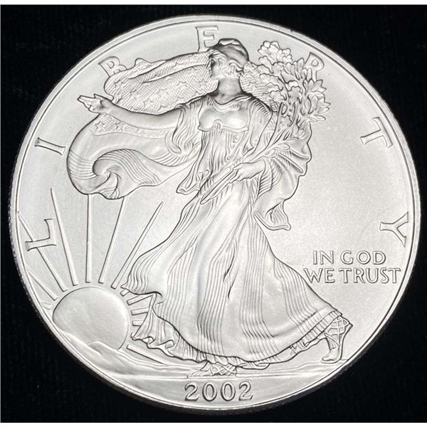 2002 American Silver Eagle