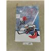 Image 1 : Winnipeg Jets Teemu Selanne 'The Finnish Flash' Limited Edition 11'' x 17'' Art 