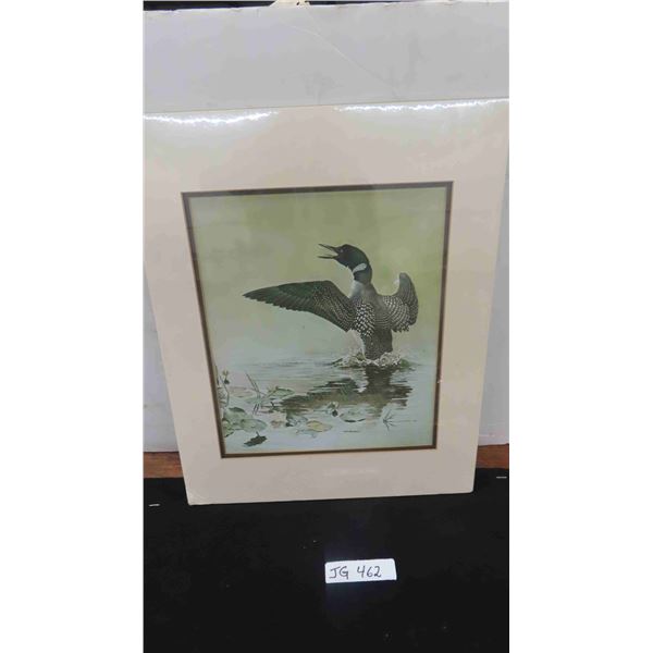 A Glen Loates Print 1976 of Loon - Shrink Wrapped + Matted 16" x 20" & 