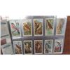 Image 8 : 2 Sets of WD +HO Wills Cigarette Cards ; 1915 Issued British Birds Complete 50 