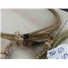 Image 3 : 2 Lariats