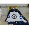 Image 1 : WPG Jets Away Pro Blank Jersey - sz 50