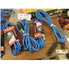 Image 2 : 10 Extension Cords - New