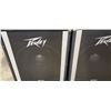 Image 2 : PAIR OF PEAVEY SPEAKERS MODEL 115 BW