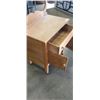 Image 5 : VINTAGE WASH STATION CABINET