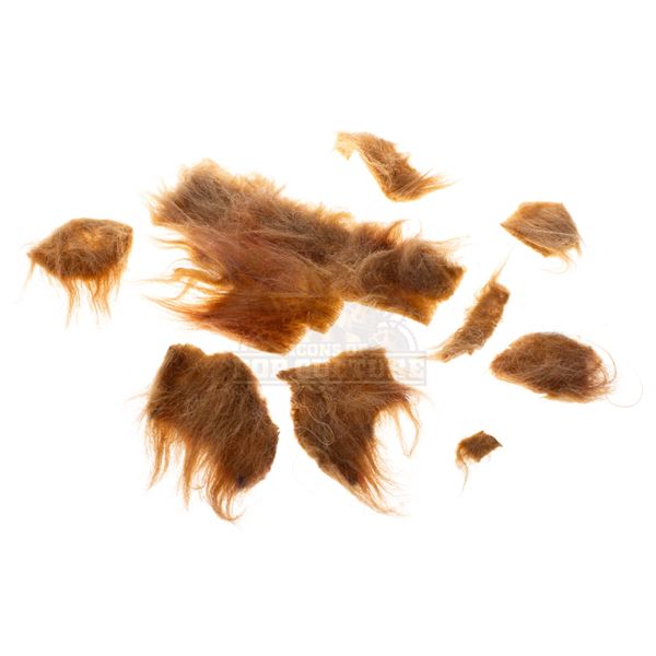 How the Grinch Stole Christmas – Max’s Hair Piece Sections – H2-26