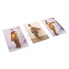 Image 1 : How the Grinch Stole Christmas – Grinch Costume Fitting Images - H2-23