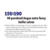 Image 1 : LOTS 151-190 - 40 purebred Angus extra fancy heifer calves