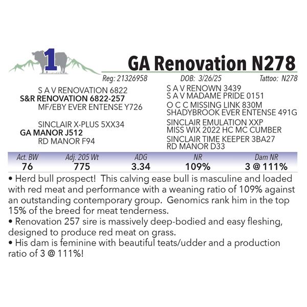 GA Renovation N278