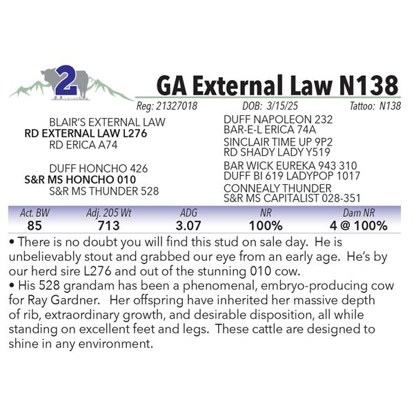 GA External Law N138