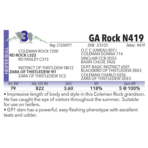 GA Rock N419