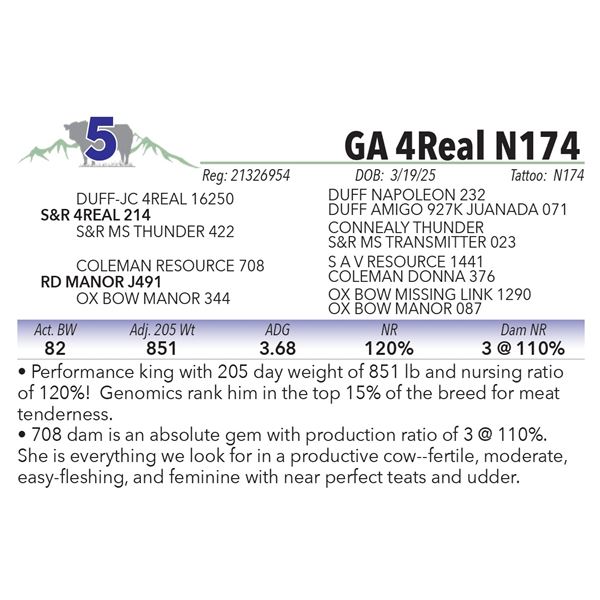 GA 4Real N174