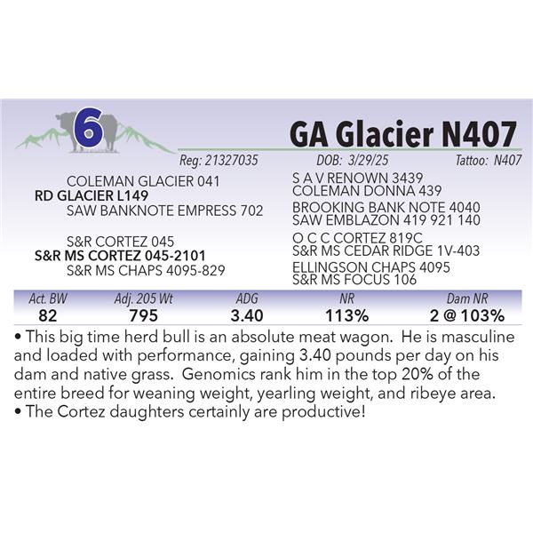 GA Glacier N407