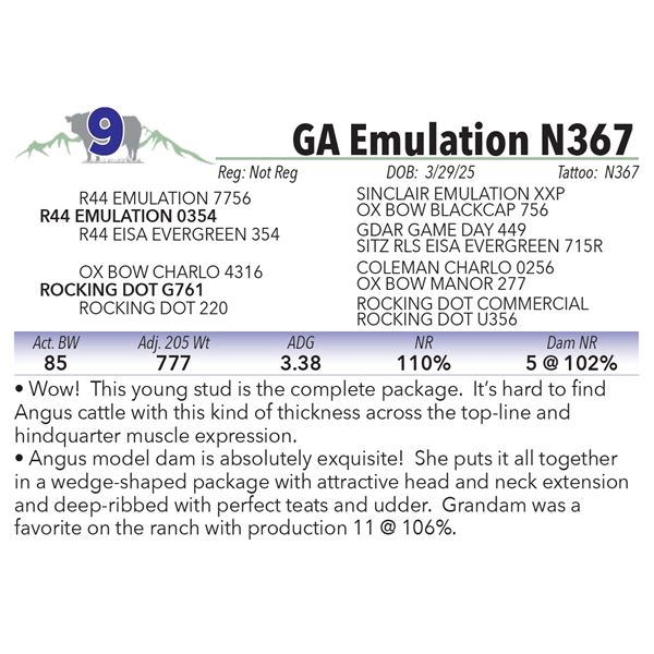 GA Emulation N367