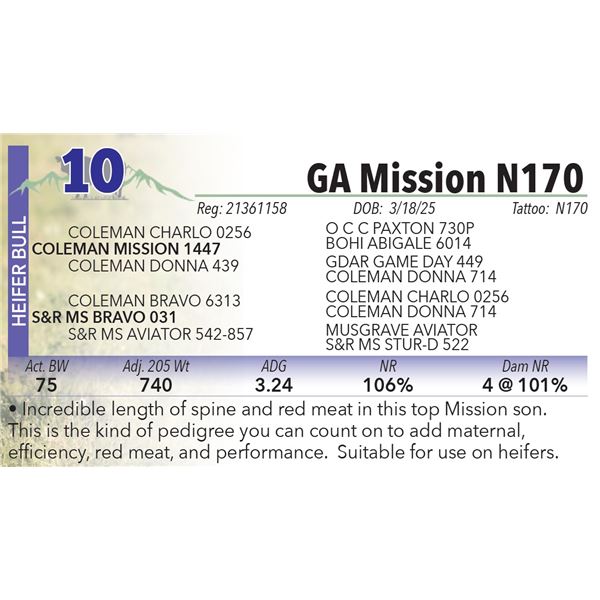 GA Mission N170