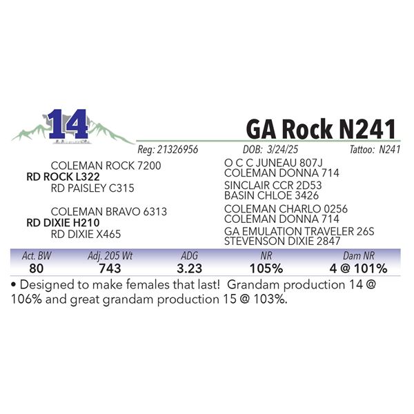 GA Rock N241