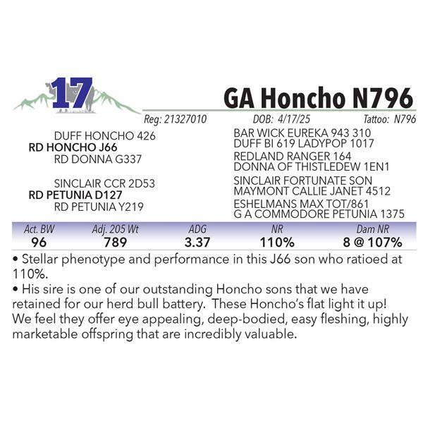 GA Honcho N796