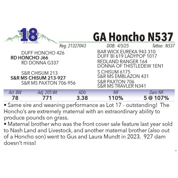 GA Honcho N537
