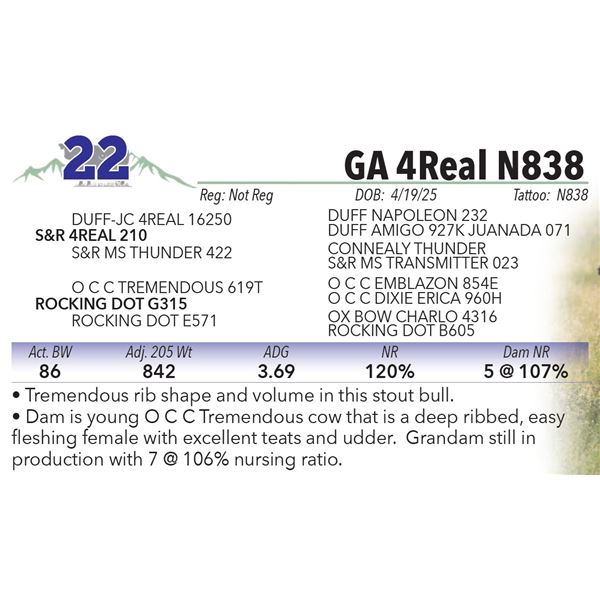 GA 4Real N838