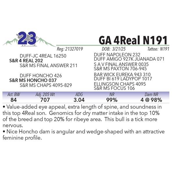 GA 4Real N191