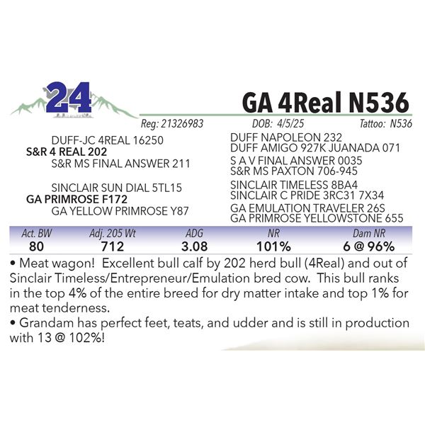 GA 4Real N536