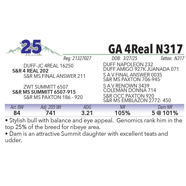 GA 4Real N317